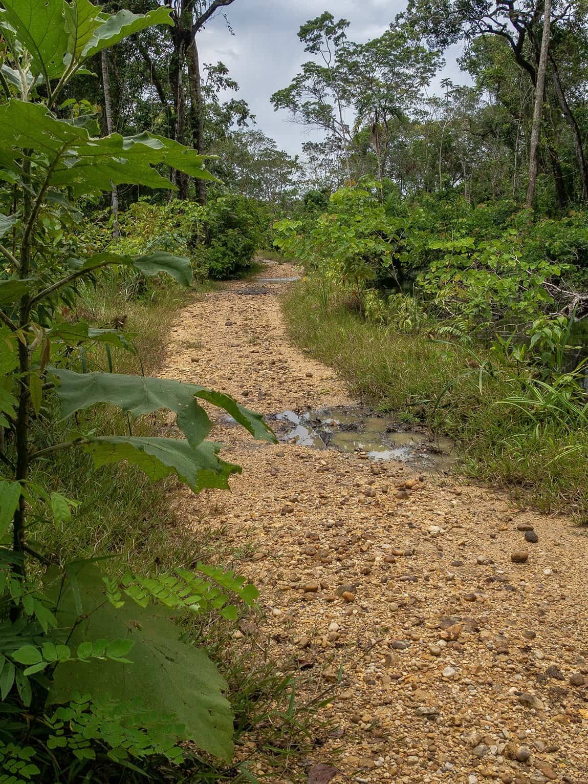 Sentier Laguna del Silencio, Parc National Sierra de la Macarena, Colombie