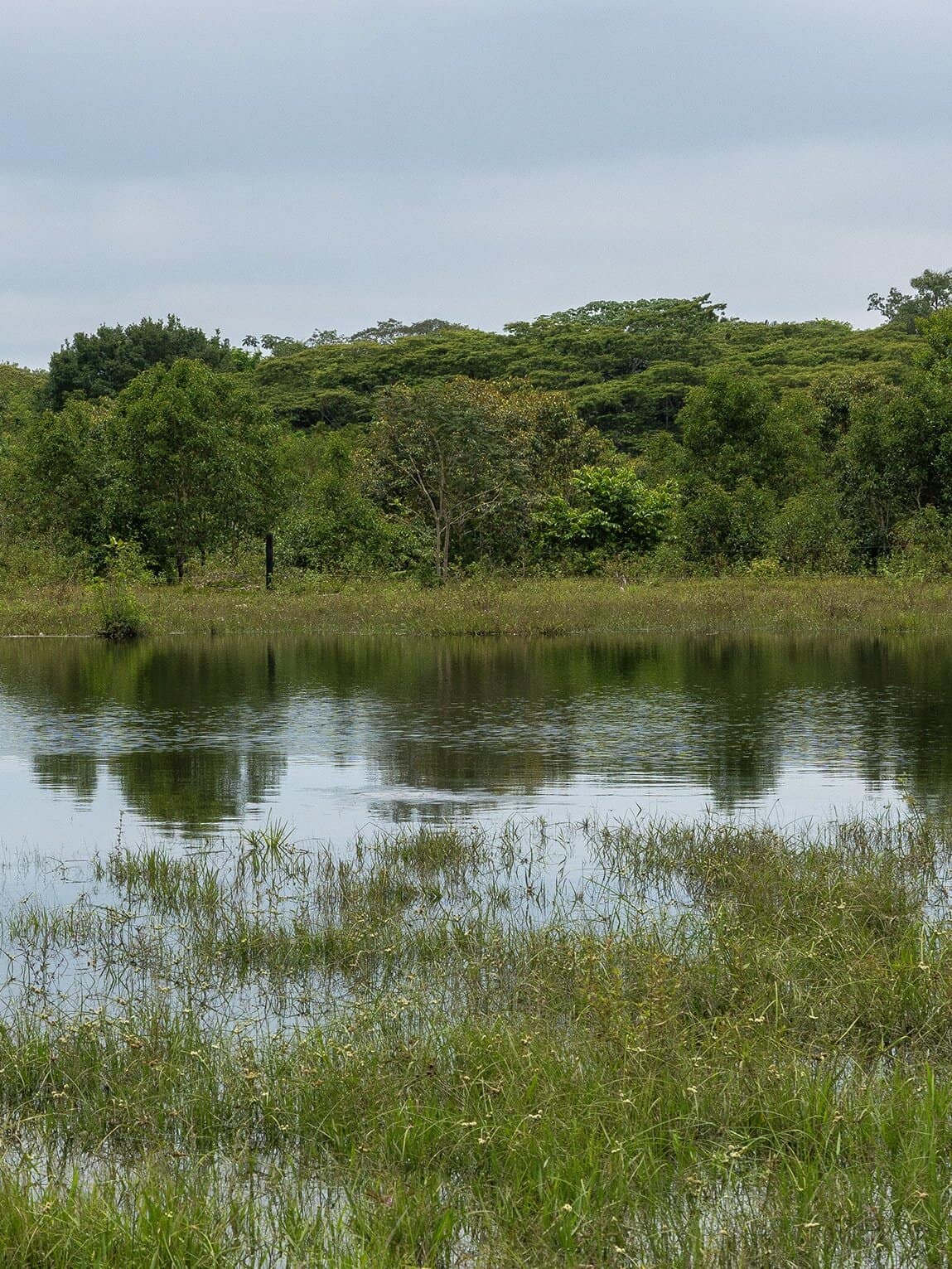 Sentier Laguna del Silencio, Parc National Sierra de la Macarena, Colombie