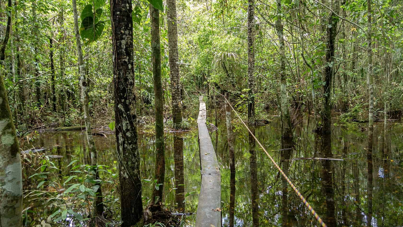 Sentier Laguna del Silencio, Parc National Sierra de la Macarena, Colombie
