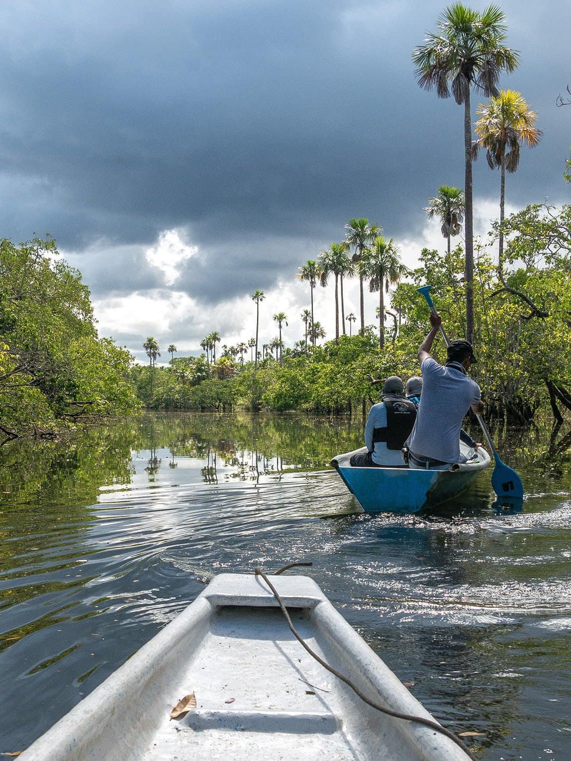 Sentier Laguna del Silencio, Parc National Sierra de la Macarena, Colombie