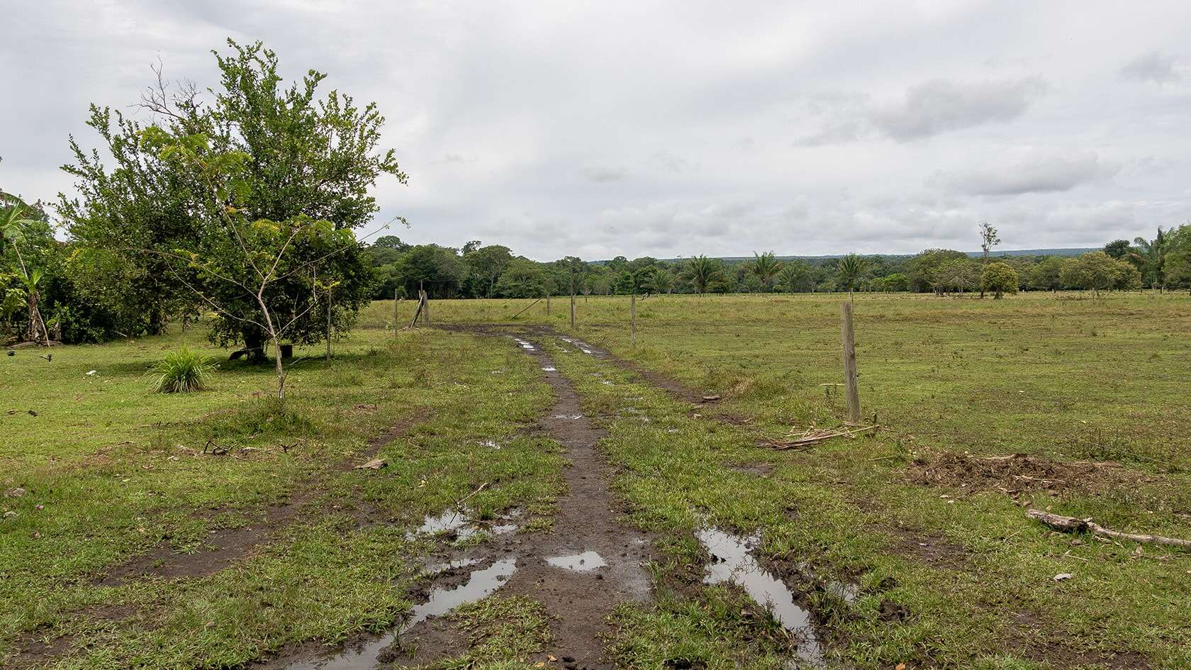 Sentier Laguna del Silencio, Parc National Sierra de la Macarena, Colombie