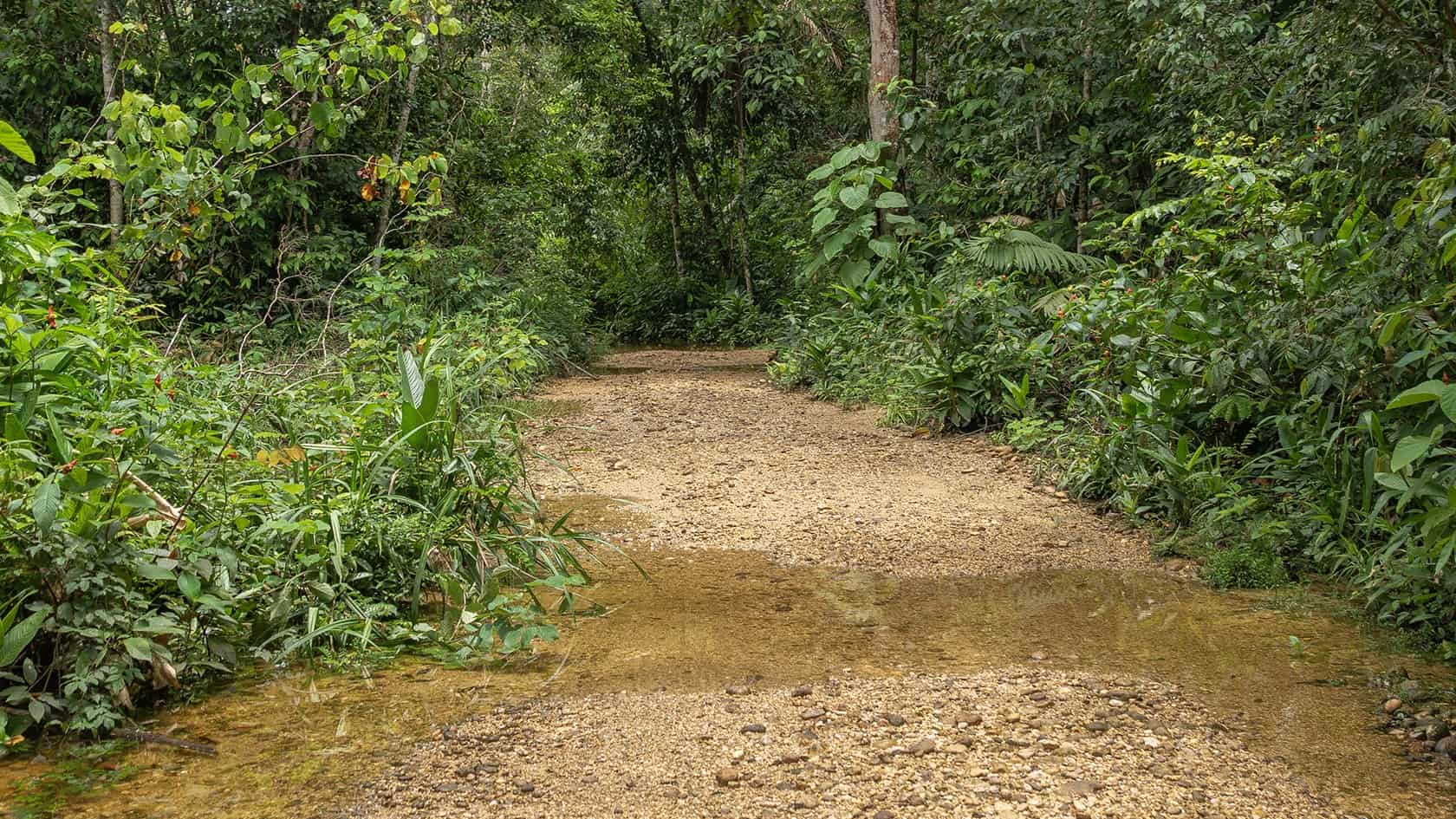 Sentier Laguna del Silencio, Parc National Sierra de la Macarena, Colombie