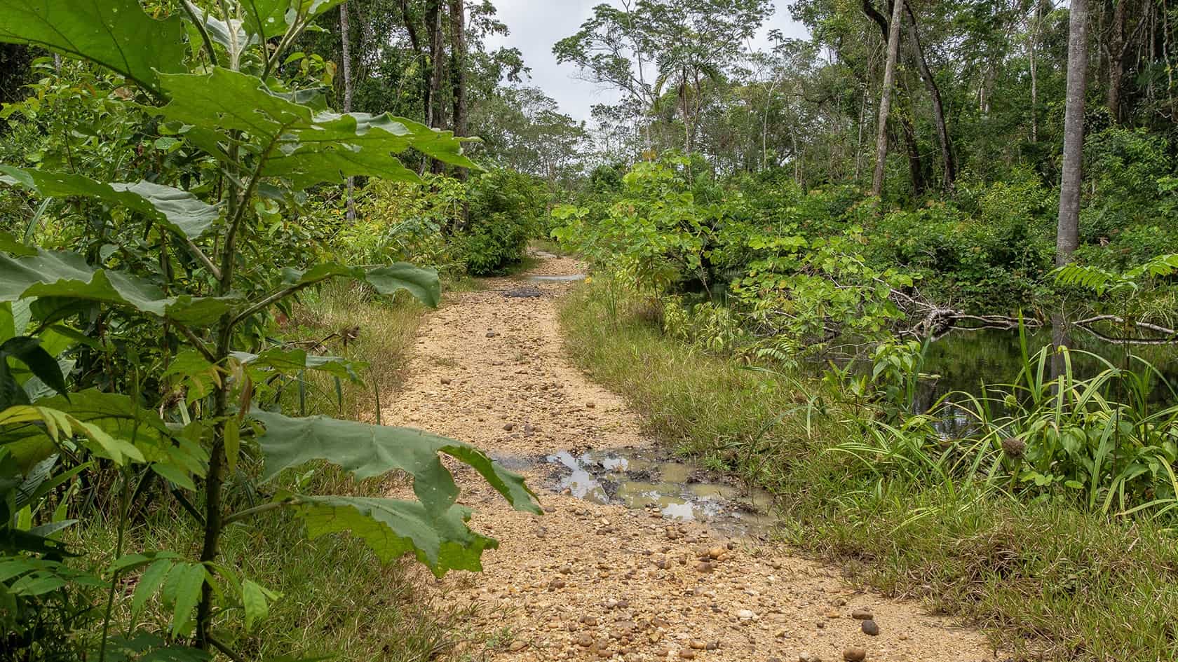 Sentier Laguna del Silencio, Parc National Sierra de la Macarena, Colombie