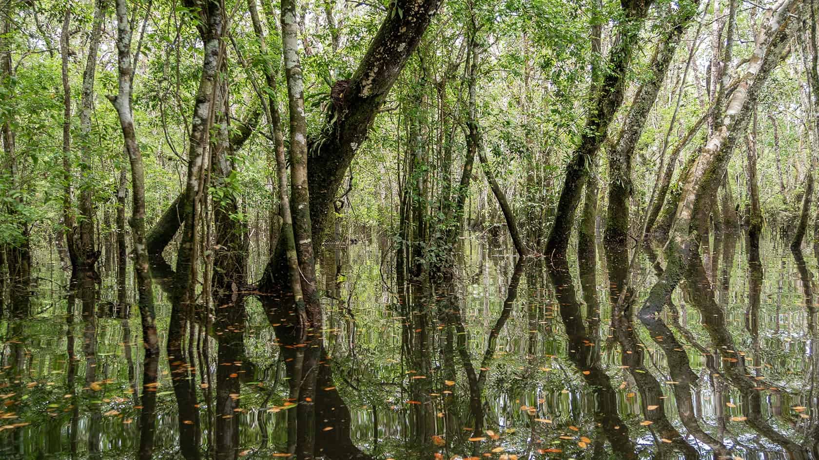 Sentier Laguna del Silencio, Parc National Sierra de la Macarena, Colombie