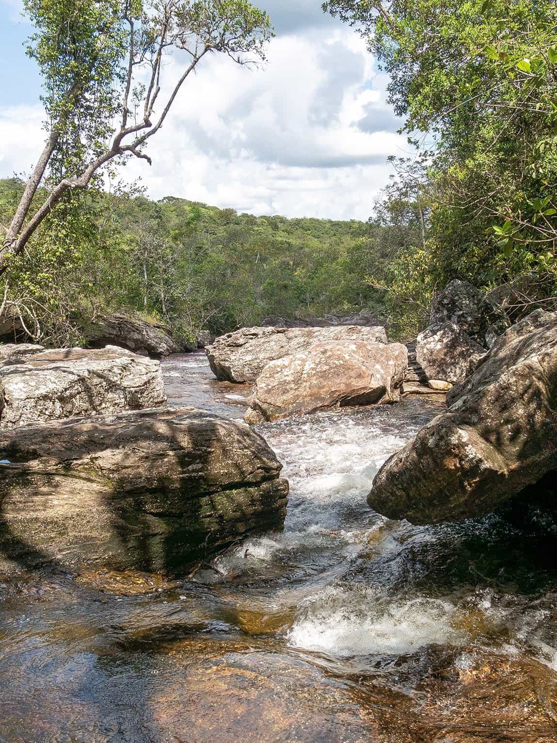 Sentier Los Pianos, Parc National Sierra de la Macarena, Colombie