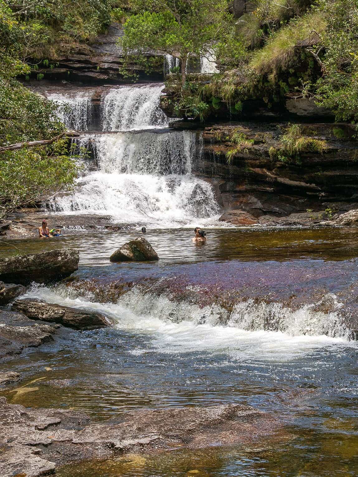 Sentier Los Pianos, Parc National Sierra de la Macarena, Colombie