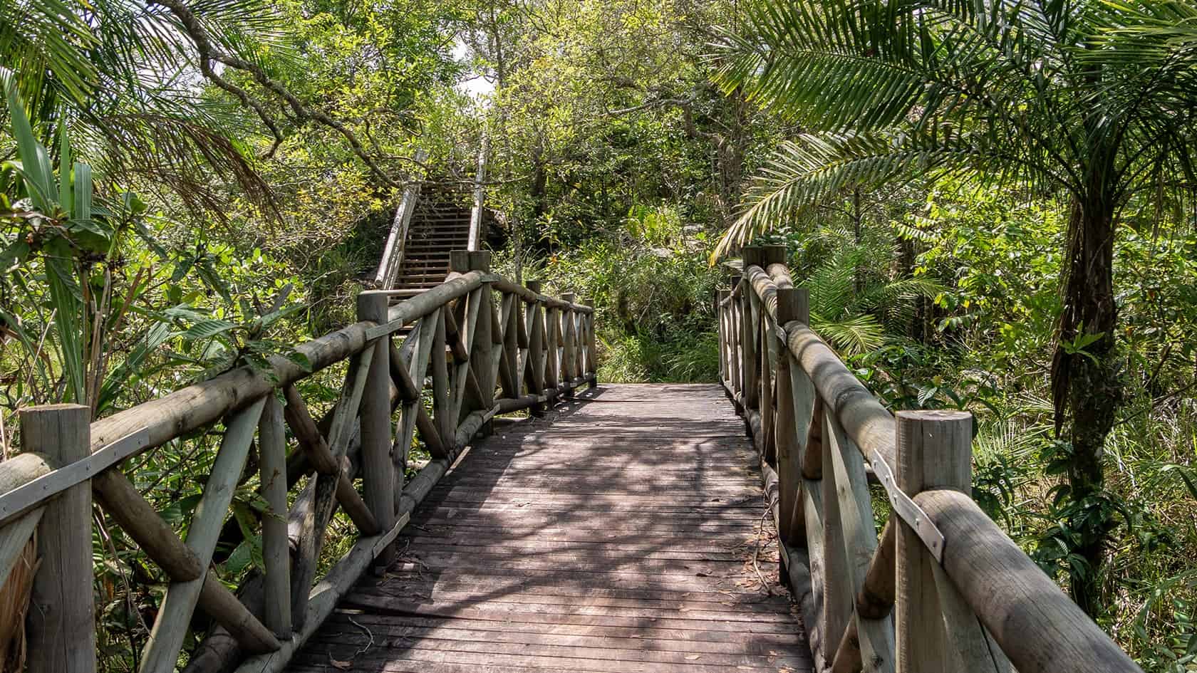 Sentier Los Pianos, Parc National Sierra de la Macarena, Colombie