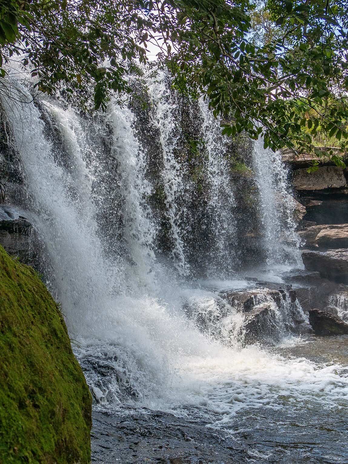Sentier Los Pianos, Parc National Sierra de la Macarena, Colombie