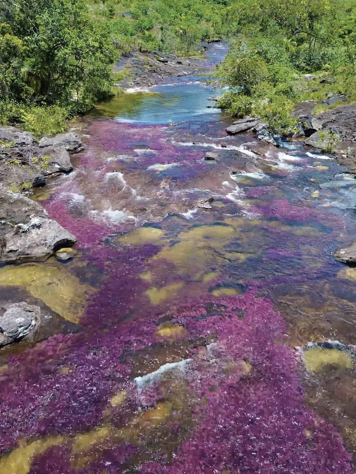 Sentier Los Pianos, Parc National Sierra de la Macarena, Colombie