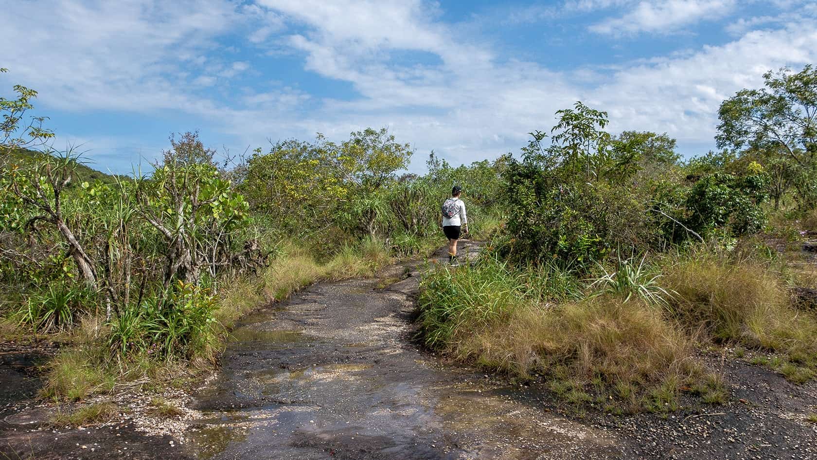 Sentier Los Pianos, Parc National Sierra de la Macarena, Colombie
