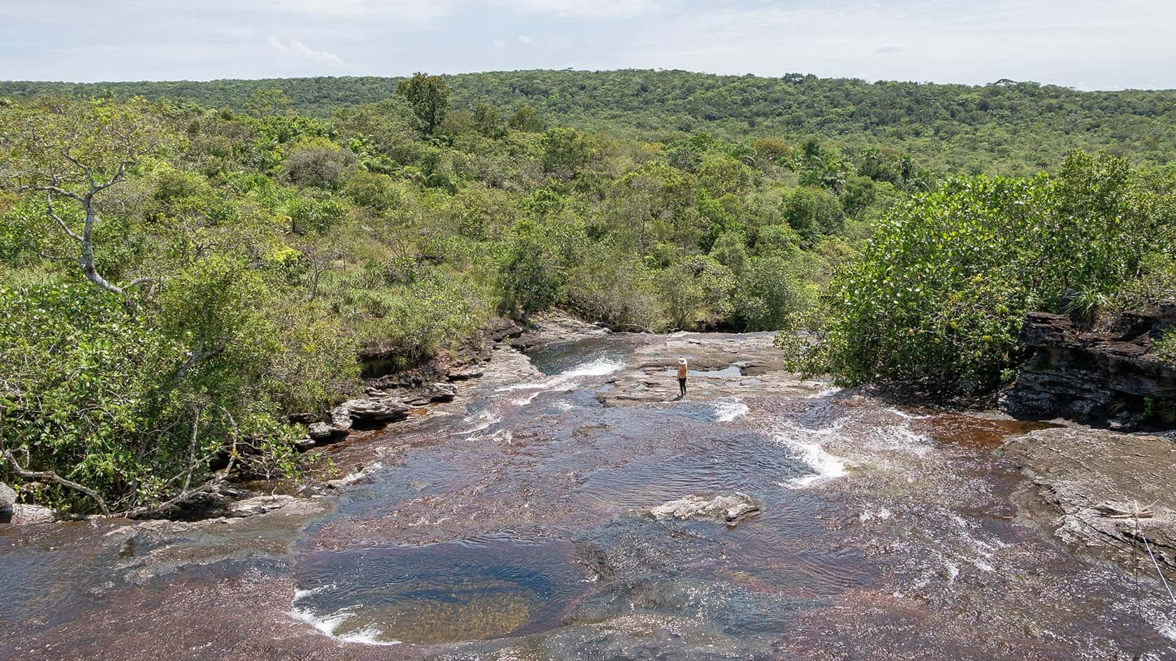 Sentier Los Pianos, Parc National Sierra de la Macarena, Colombie