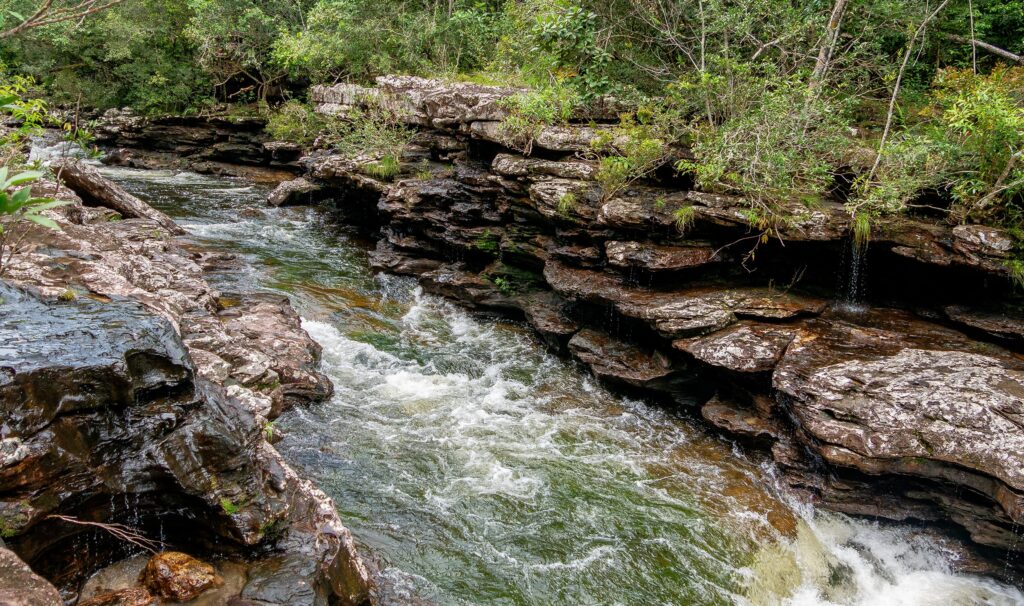 Sentier Pailones, Parc National Sierra de la Macarena, Colombie