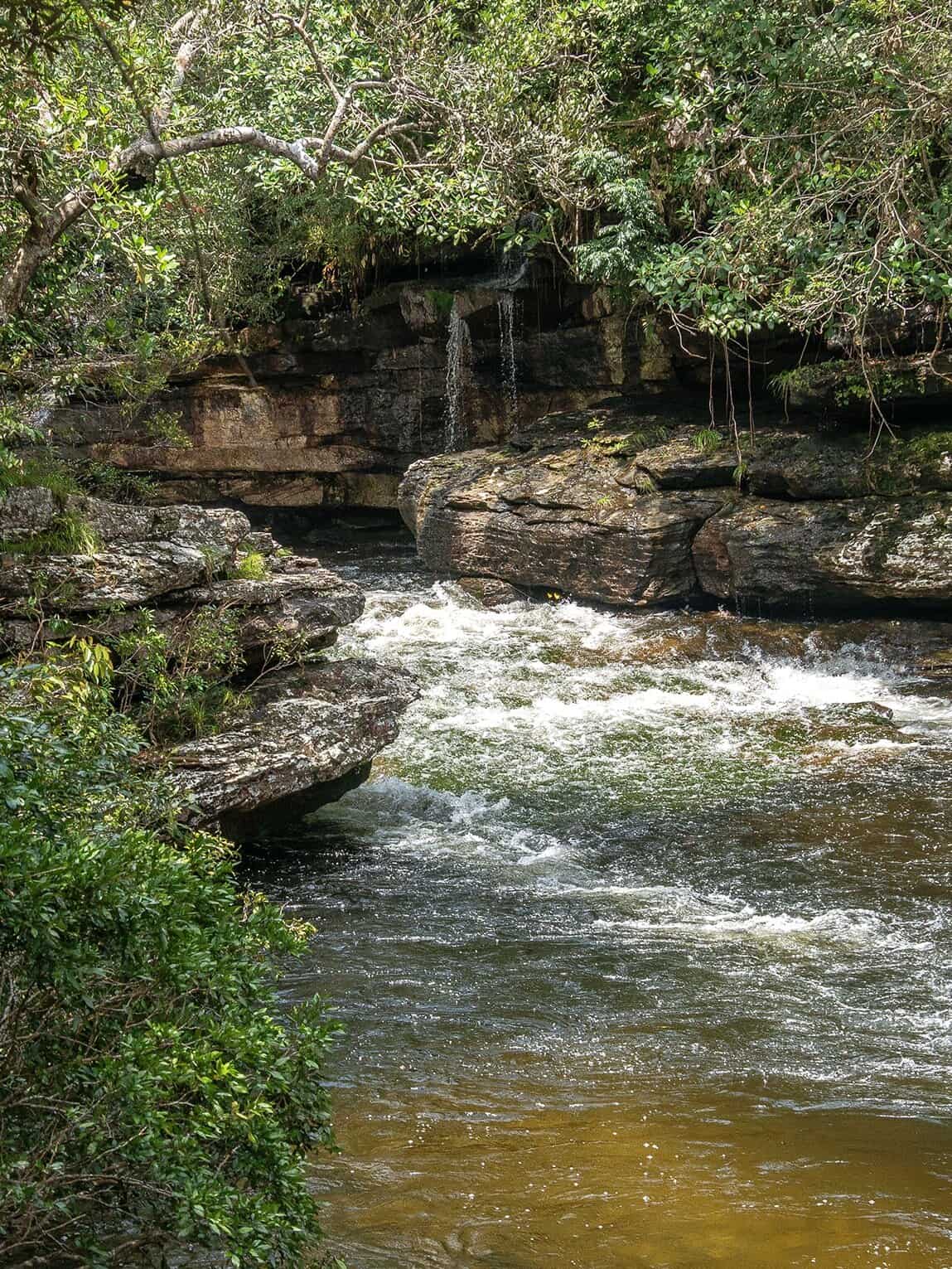 Sentier Pailones, Parc National Sierra de la Macarena, Colombie