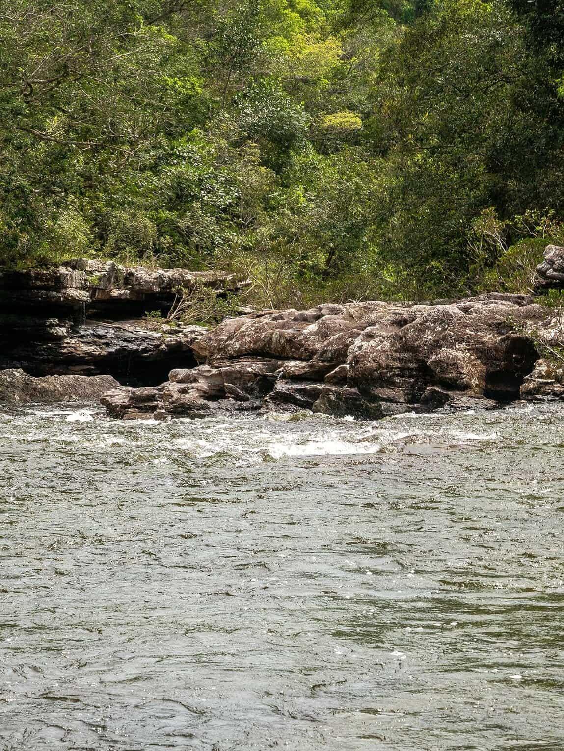 Sentier Pailones, Parc National Sierra de la Macarena, Colombie