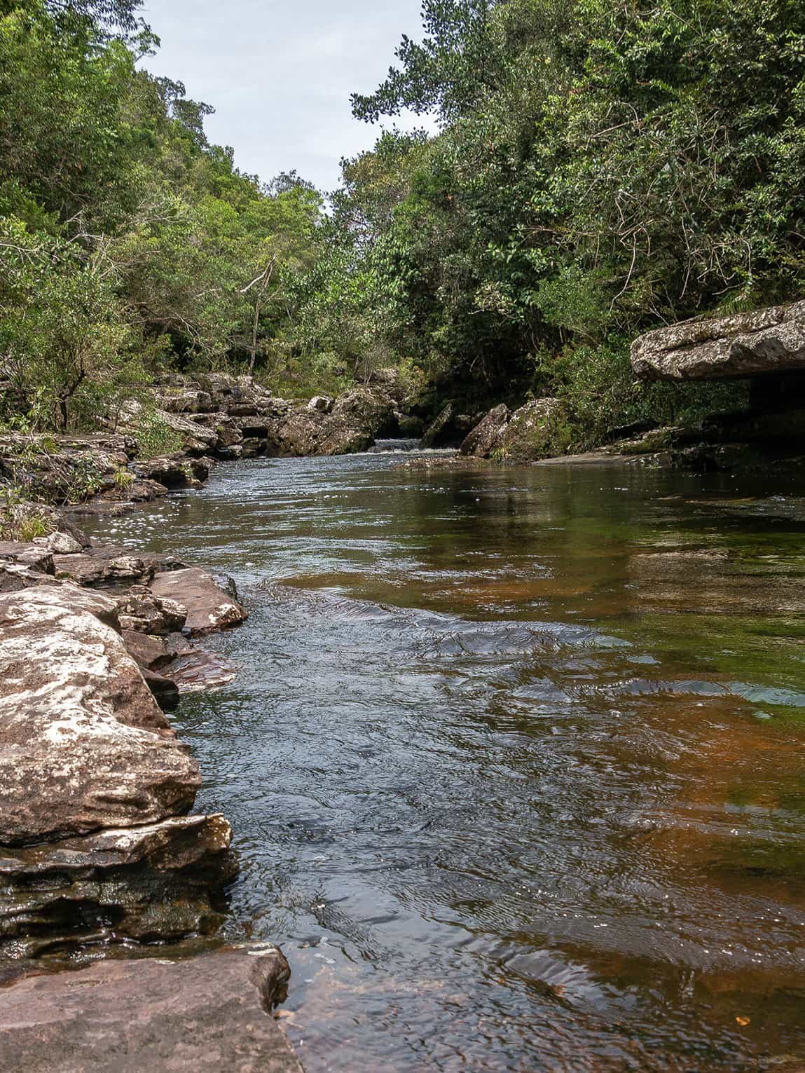 Sentier Pailones, Parc National Sierra de la Macarena, Colombie