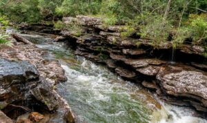 Sentier Pailones, Parc National Sierra de la Macarena, Colombie