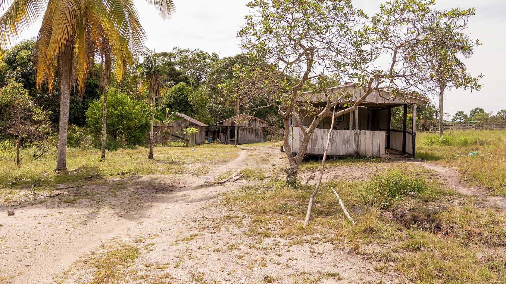 Sentier Pailones, Parc National Sierra de la Macarena, Colombie