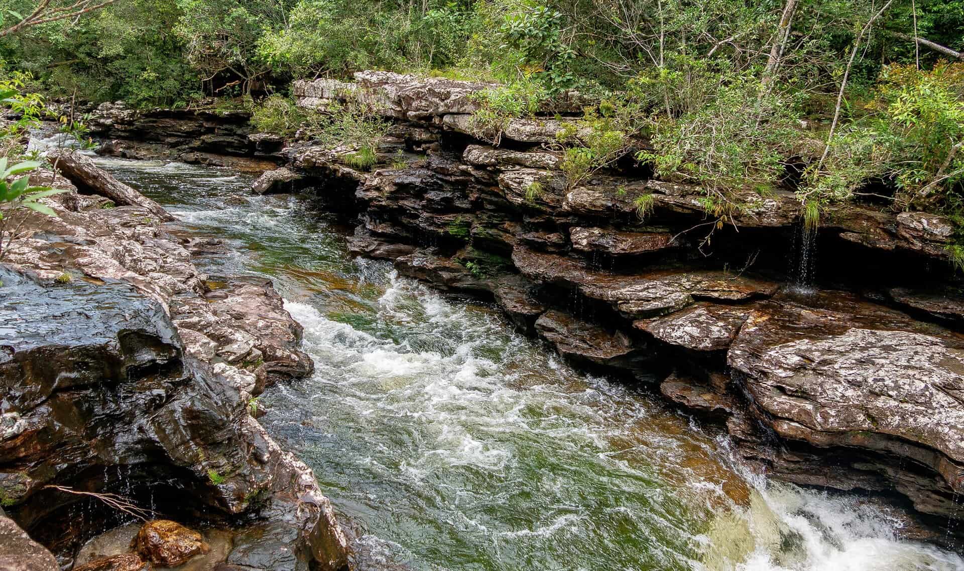 Sentier Pailones, Parc National Sierra de la Macarena, Colombie