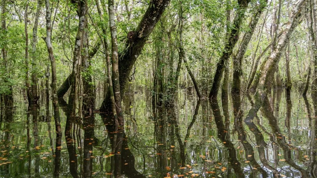 Laguna del Silencio en el Parque Nacional de la Sierra de La Macarena, Colombia