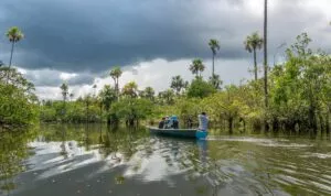 Sentier Laguna del Silencio, Parc National Sierra de la Macarena, Colombie