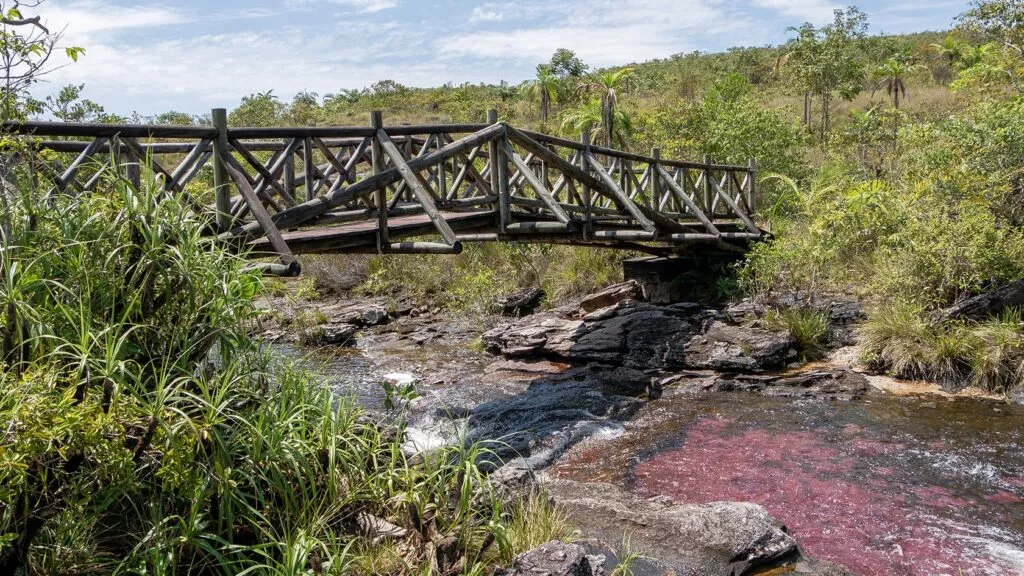 Sendero de Los Pianos, Parque Nacional Sierra de la Macarena, Colombia
