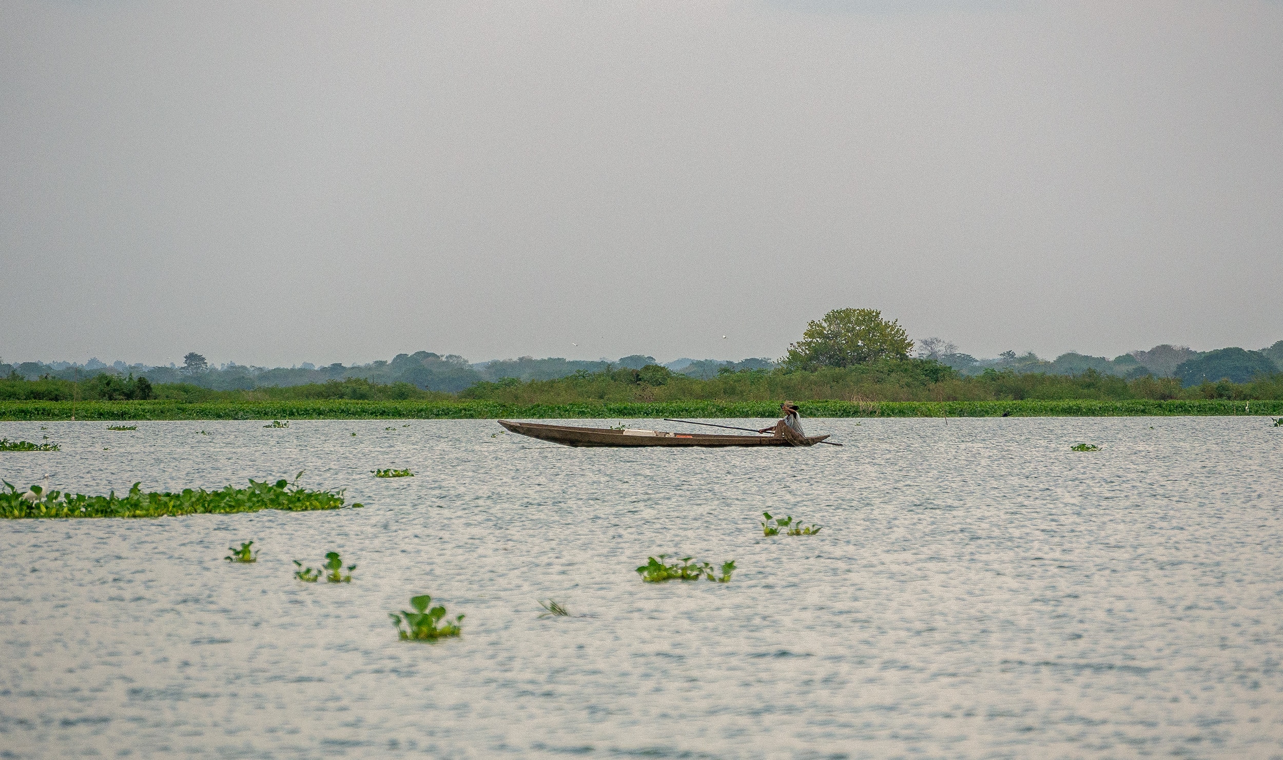 Pêcheur, Ciénaga de Pijiño, Colombie