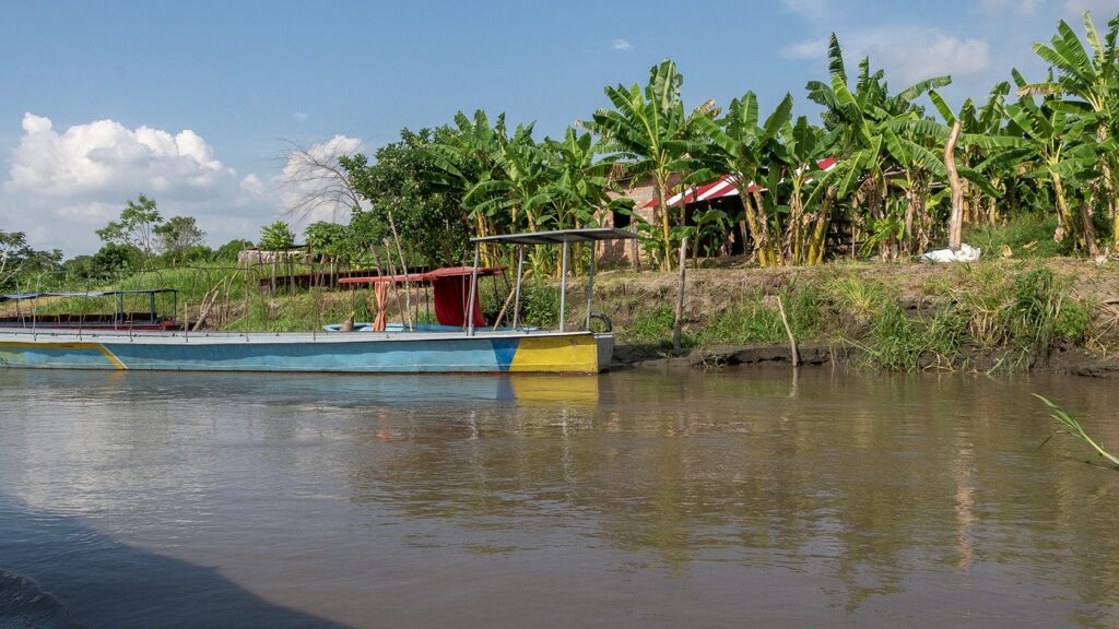 Boats moored at Ciénaga de Pijiño, Colombia