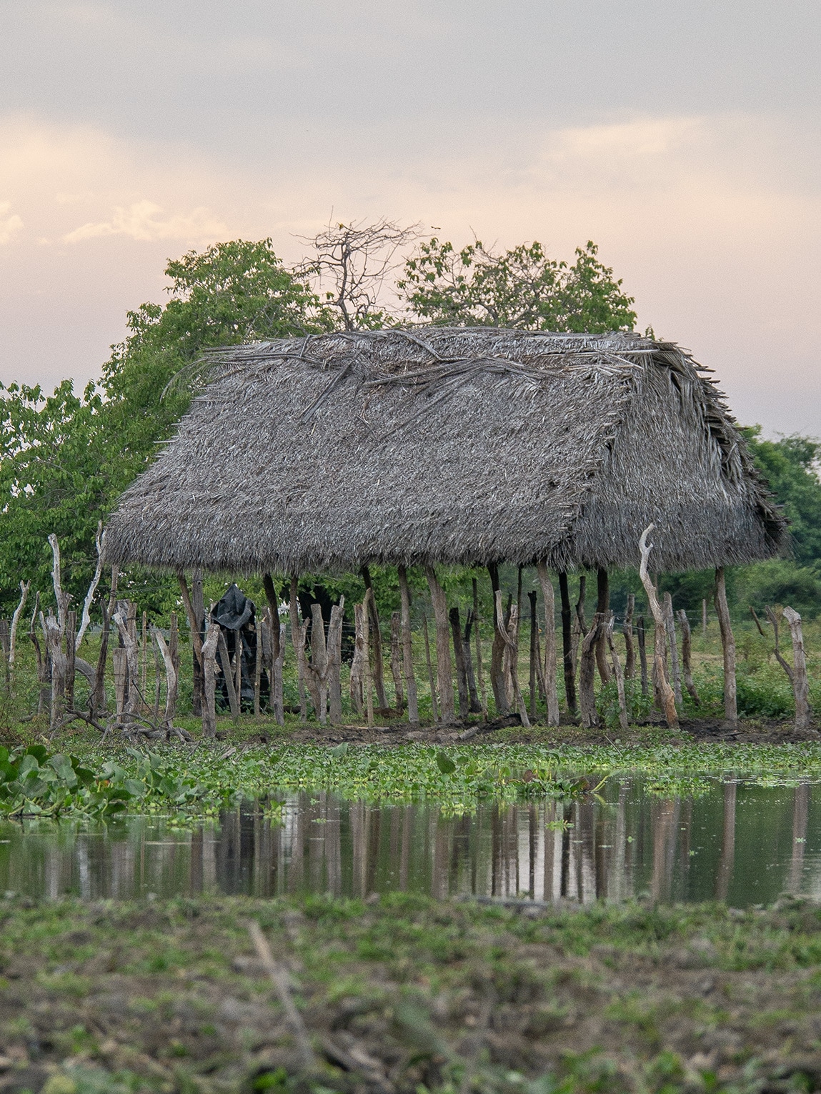 Construction de ferme, Ciénaga de Pijiño, Colombie