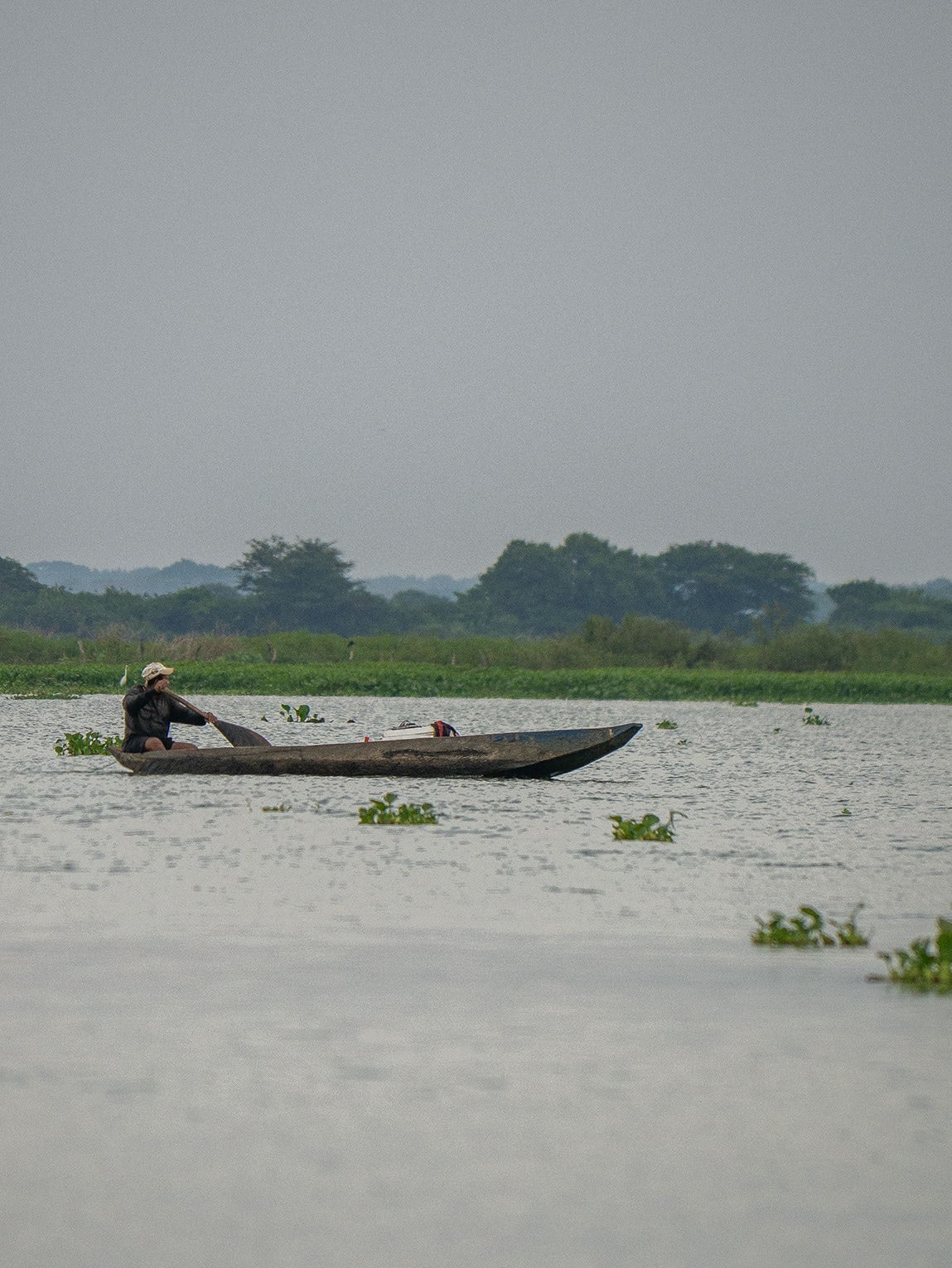 Pêcheur, Ciénaga de Pijiño, Colombie