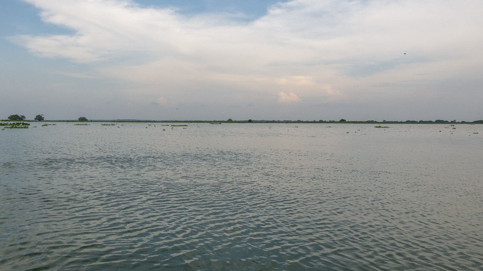 Ciénaga de Pijiño, Colombie