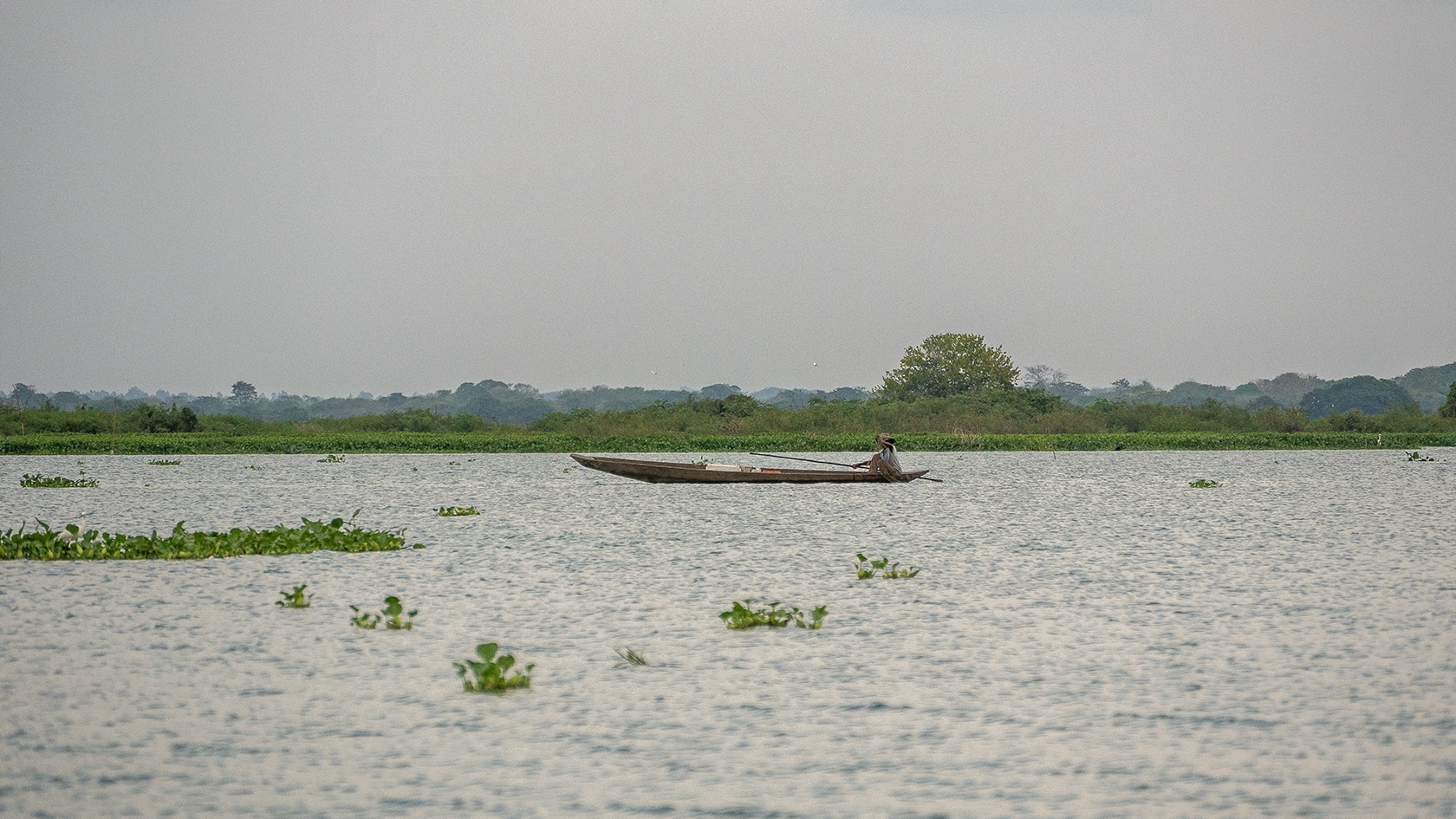 Pêcheur dans la Ciénaga de Pijino, Mompox, Colombie